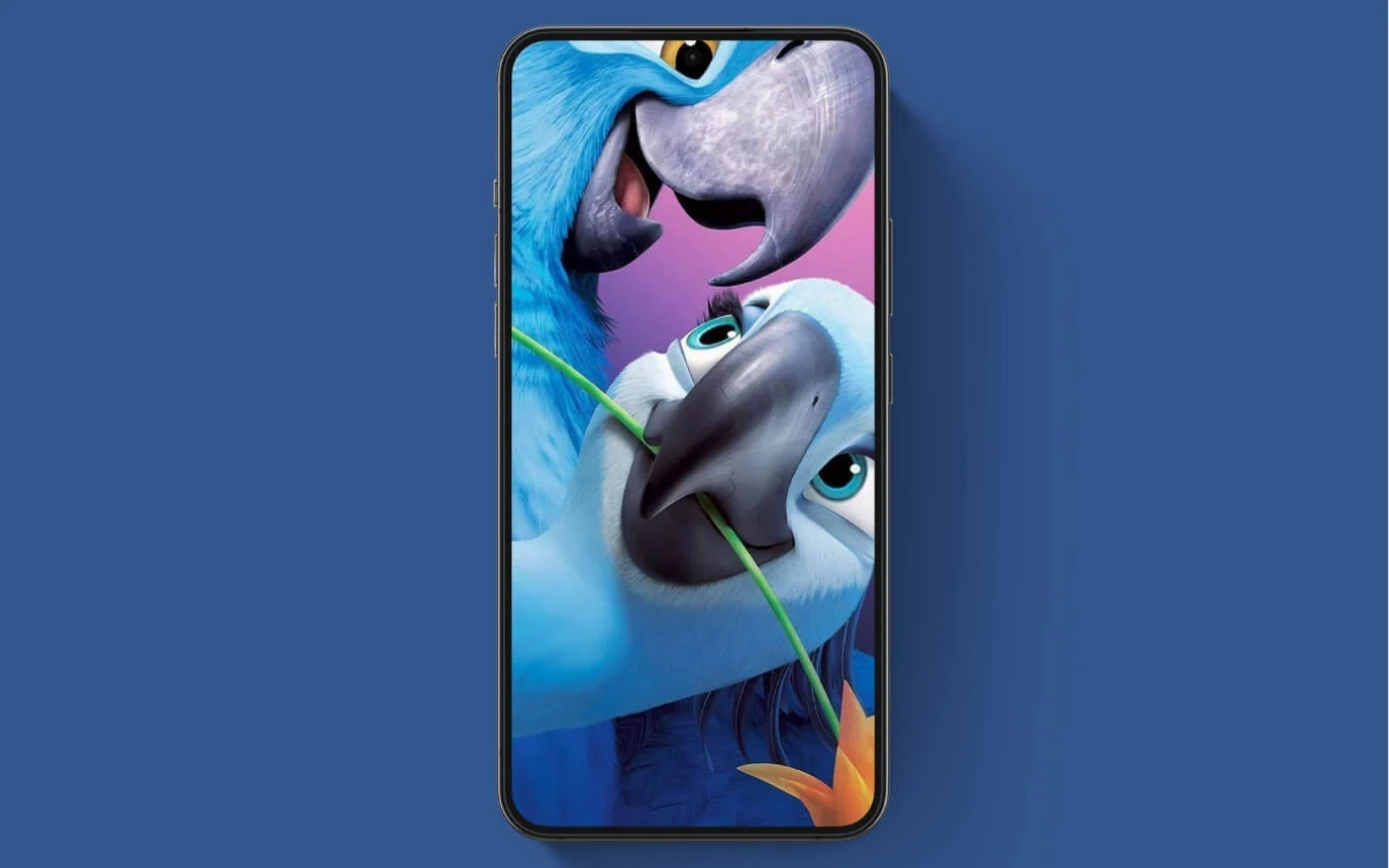 rio lovebirds punch-hole