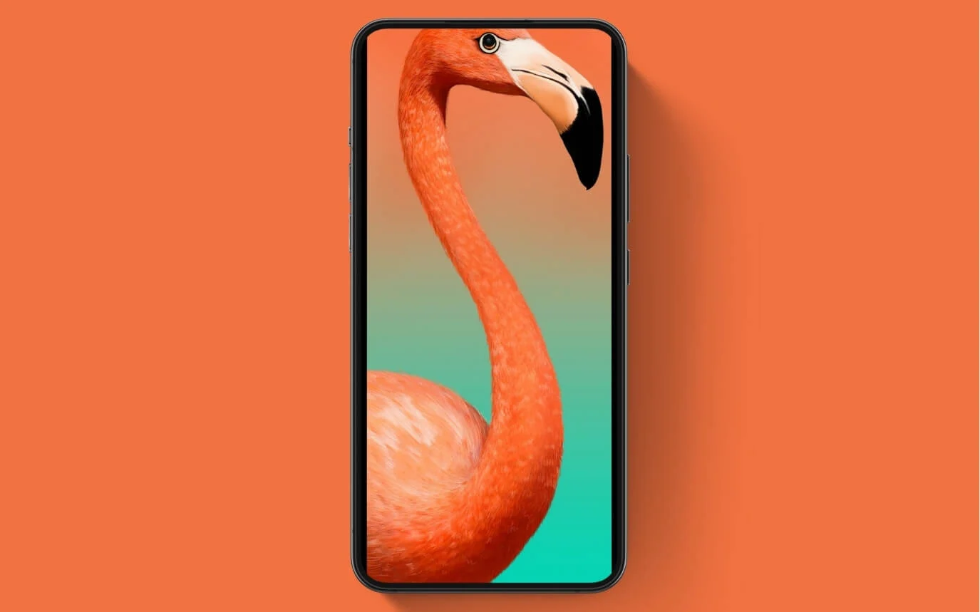 flamingo punch-hole view