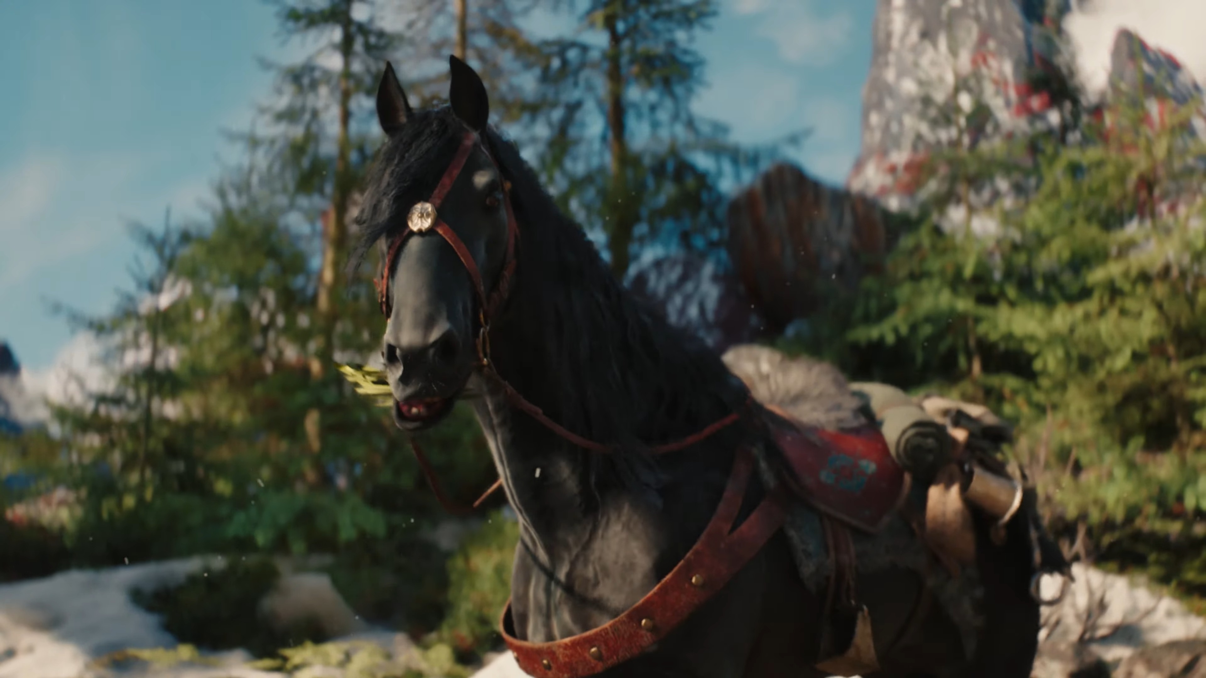 Witcher 4