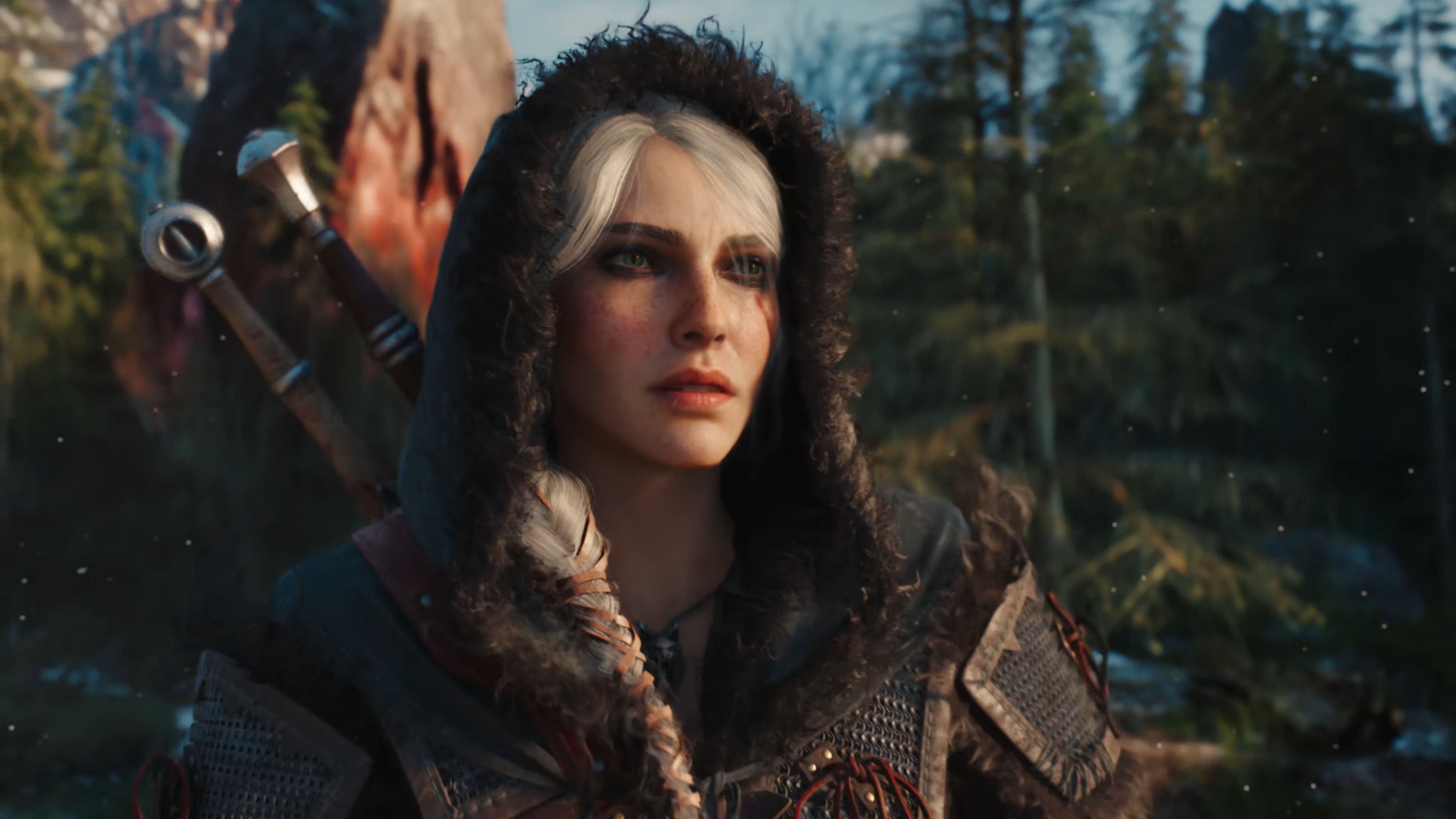 Witcher 4