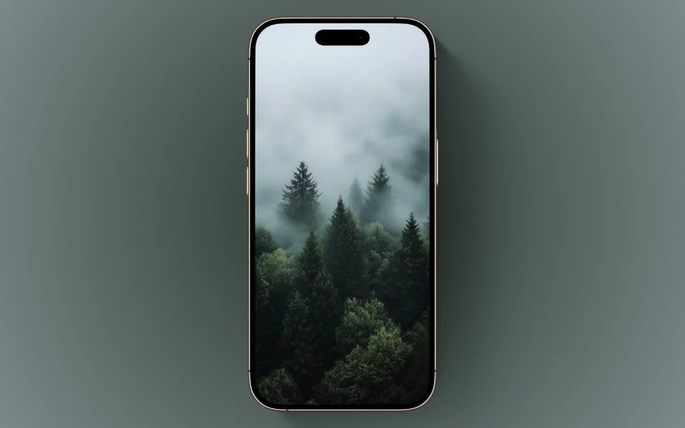 misty forest calm lock screen wallpaper
