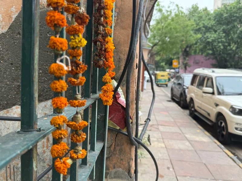 IMG 6931 project indigo: adobe brings those 'realistic' dslr photo feels to iphone photography - img 6931