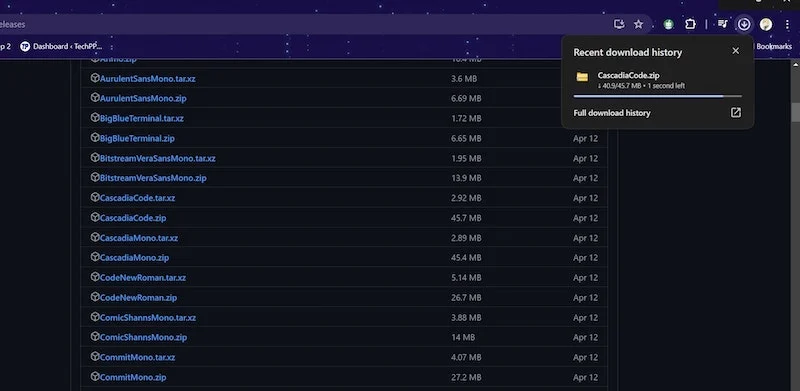 download the zip file