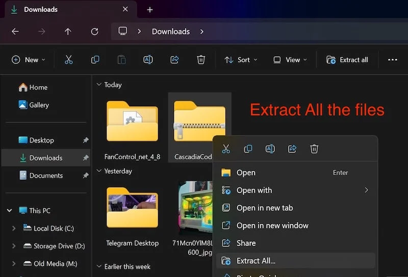 how to customize windows terminal like a pro - extract all the files