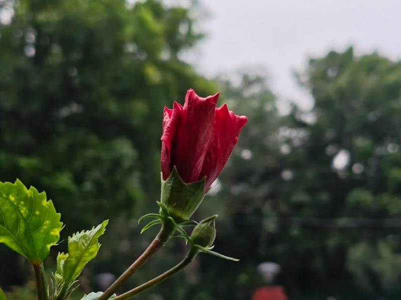 poco f7 review: another flagship killer in the premium mid-segment - img 20250624 154422