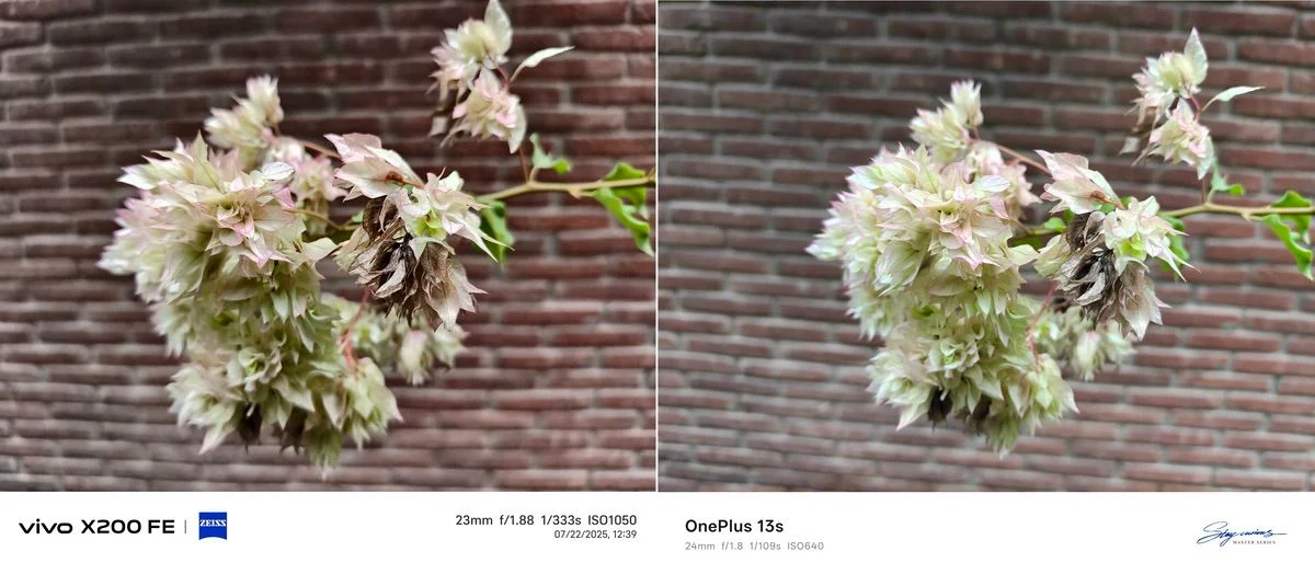 vivo x200 fe vs oneplus 13s: compact combat! [face off] - comparison1