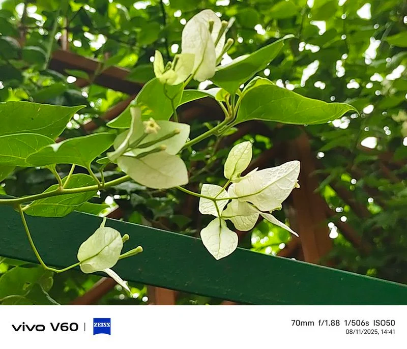 vivo v60 review: vivo delivers sub-rs 40,000 camera supremacy - img 20250811 144113