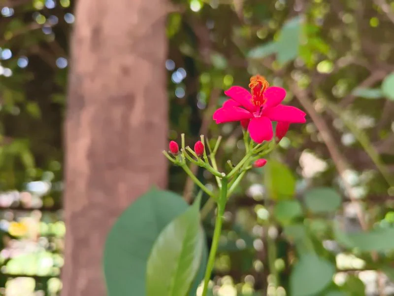 iqoo z10r review: simply, delightfully steady rather than spectacular - img 20250807 123432