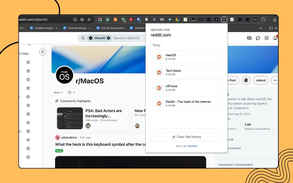 site history google chrome extension