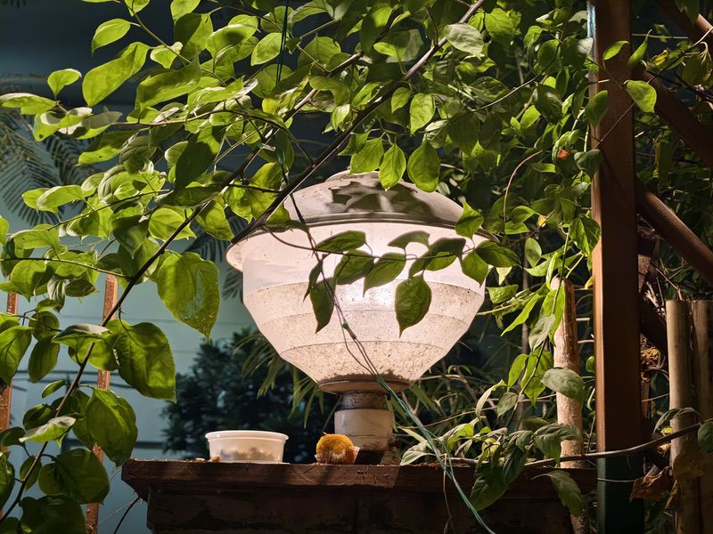 图片 20251125 215401 iqoo 15 review: questing on and on… into the premium flagship zone - img 20251125 215401