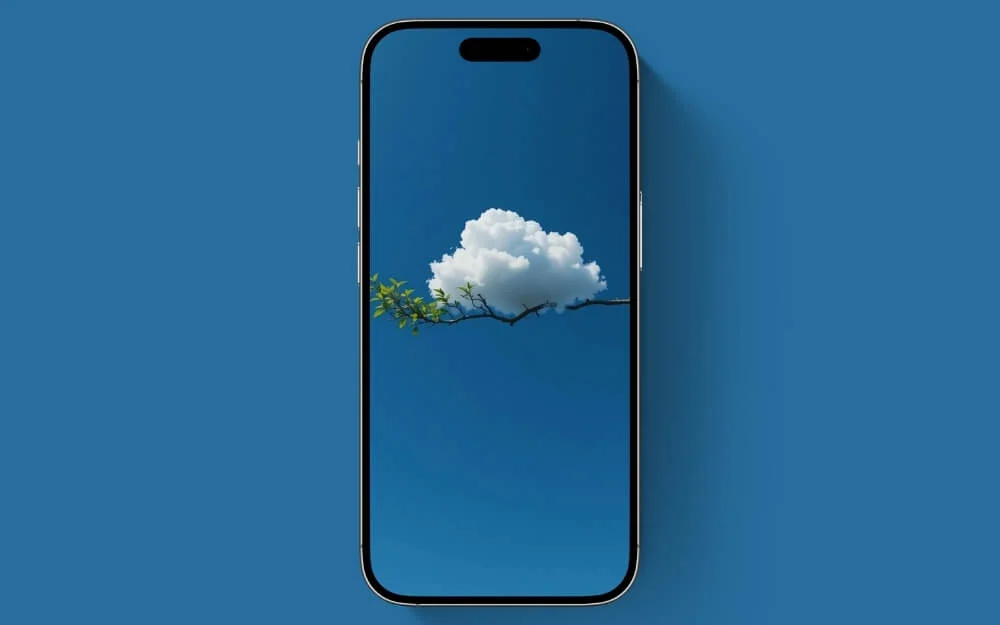 leaf cloud wallpaper
