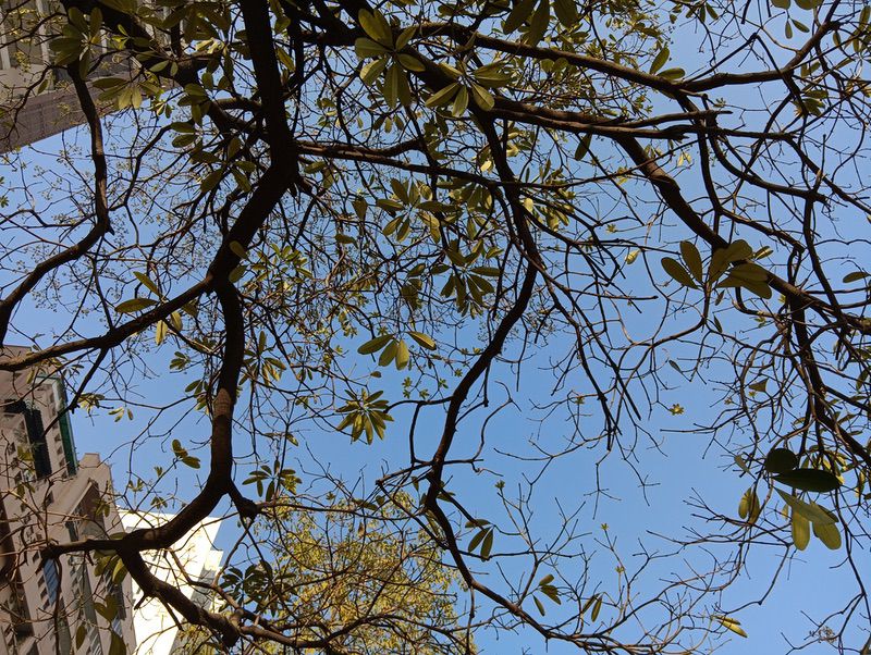 redmi 15c review: setting a new budget benchmark? - img 20251210 100958