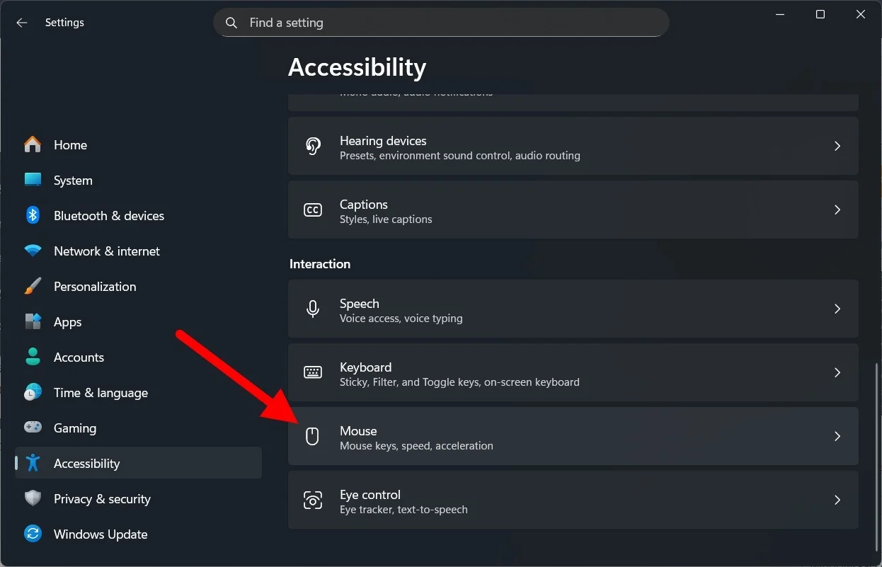 mouse-option-accessibility