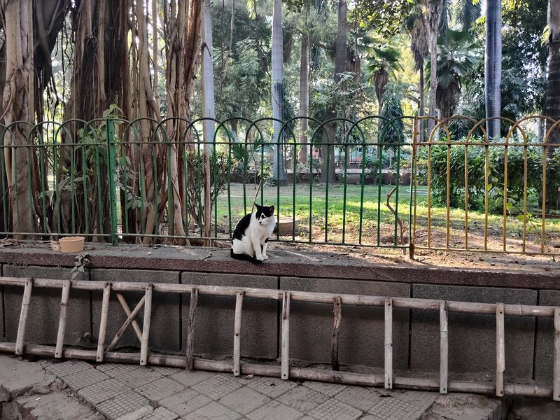 poco m8 review: classic mid-segment performer with classy premium looks - img 20260111 154920