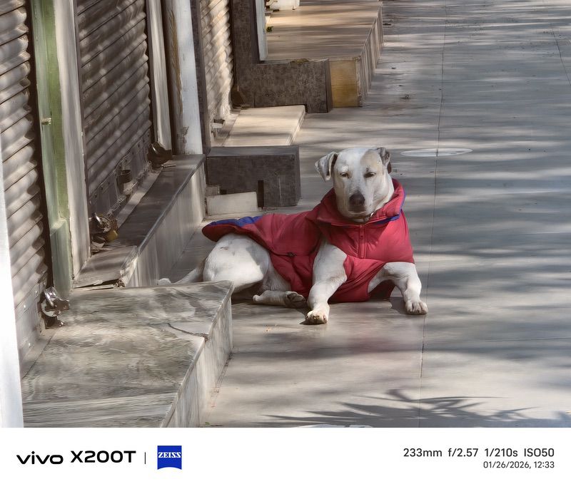 vivo x200t review: flagship killer with flagship cameras - img 20260126 123337