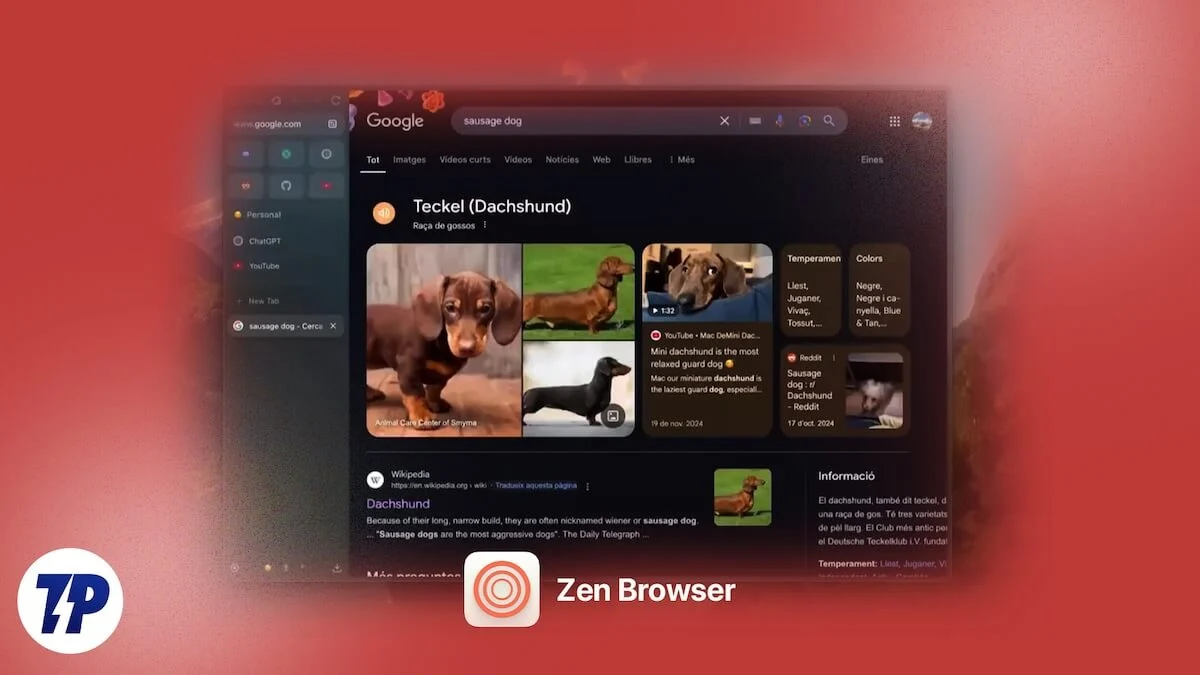 مراجعة متصفح زين zen browser review