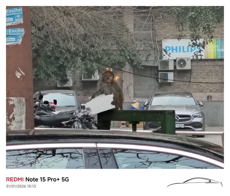 redmi note 15 pro+ review: a note for work, a note that works… but at a higher price - img 20260131 153251