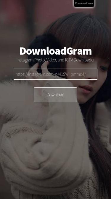 DownloadGram - 適用於 Web 的 Instagram 照片下載器應用程序