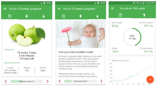 Pregnancy Week By Week