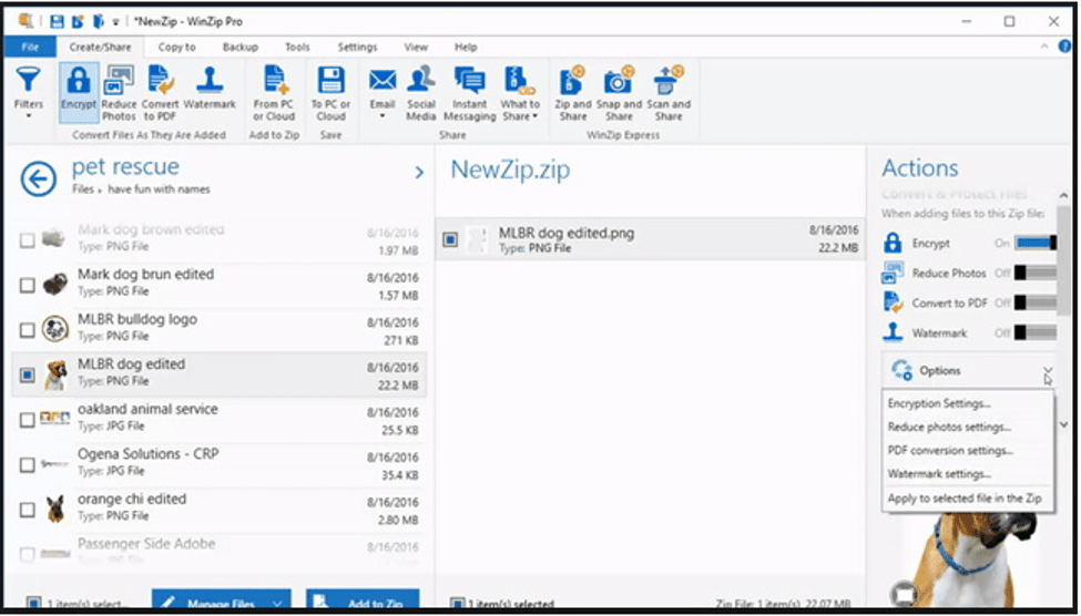 WinZip - Best File Compressor Software