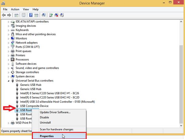 Device Manager USB Root Hub