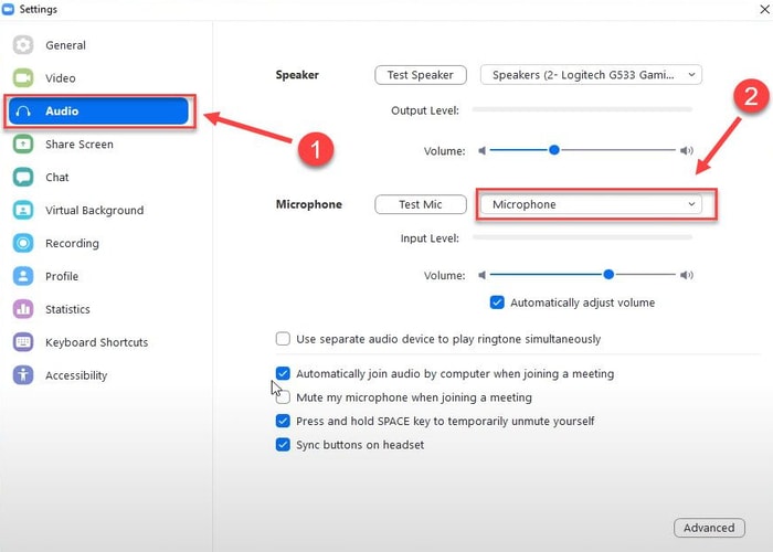 Click on the Audio tab and Choose Microphone