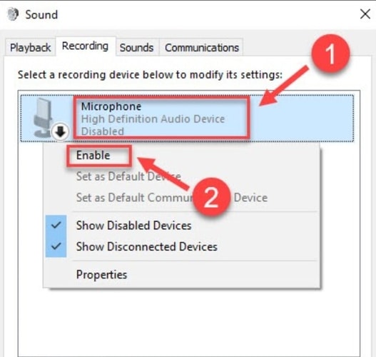 Microphone is Enabled in Recording Tab