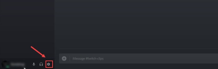 Select Cogwheel icon from Discord
