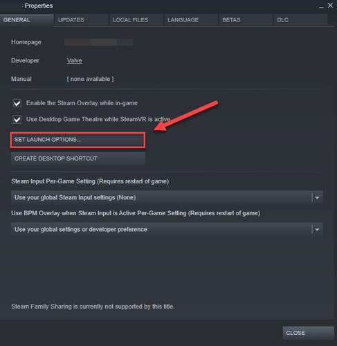 Click On SET LAUNCH OPTIONS 