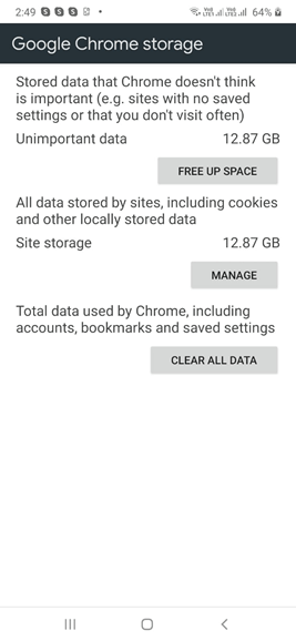 Pamięć Google Chrome