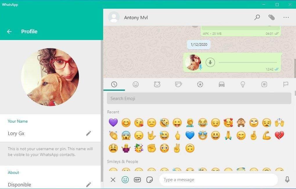 WhatsAppメッセンジャー-Windows用のメッセージングアプリ