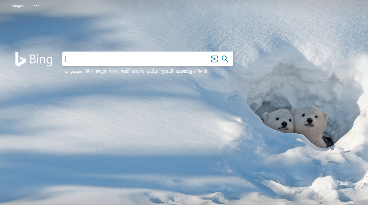 Recherche Bing