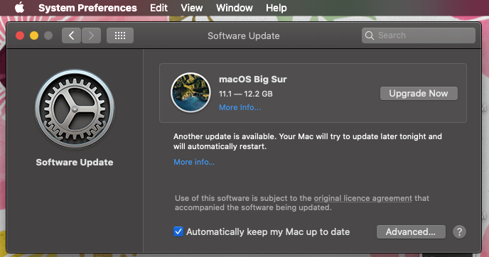 느린 Mac 시작