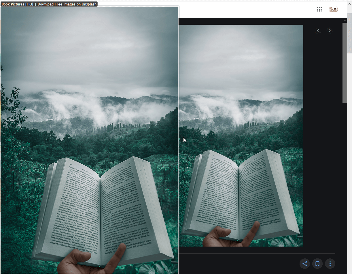 ImgUS - 最好的 Mozilla Firefox 扩展