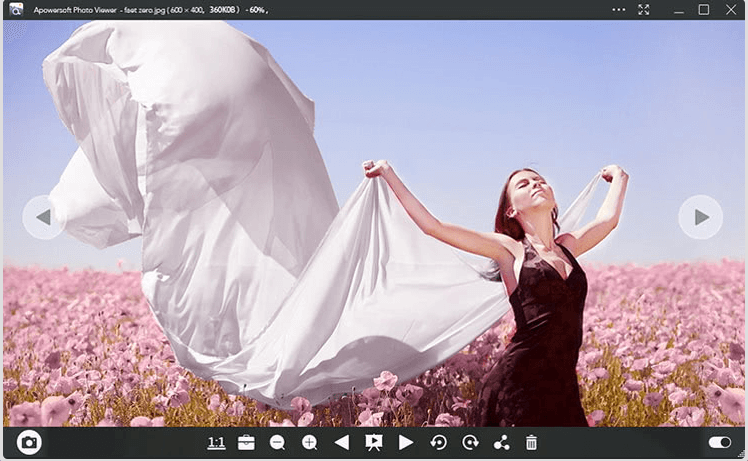 Visor de fotos de Apowersoft