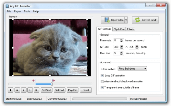 أي GIF Animator