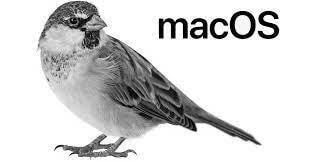 Silberner Spatz