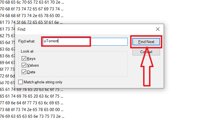 在“查找內容”框中輸入 uTorrent,然後單擊“查找下一個”選項。