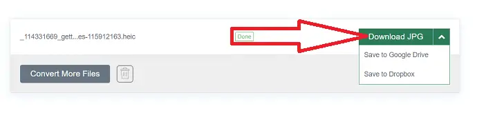 Selectarea opțiunii Descărcare JPG.