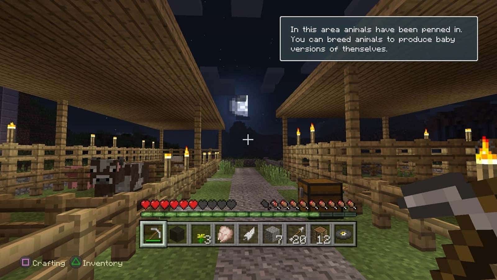 minecraft di playstation 4