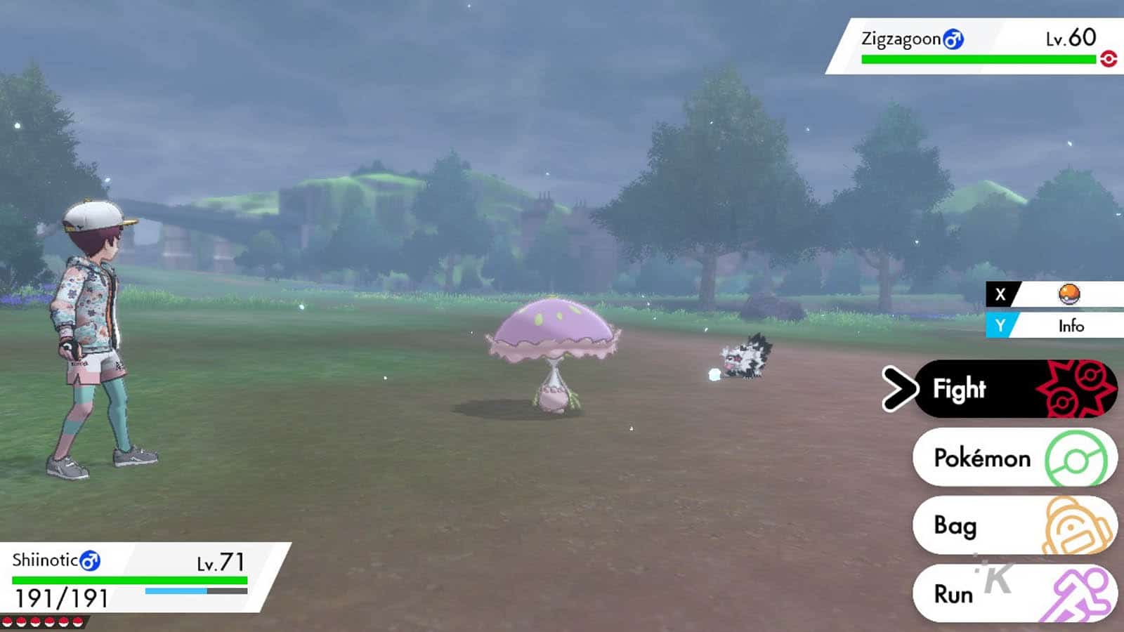 pertarungan pedang dan perisai pokemon