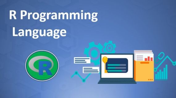 r language