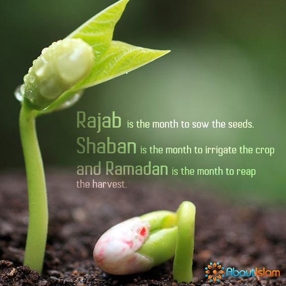 belle citazioni di ramadan