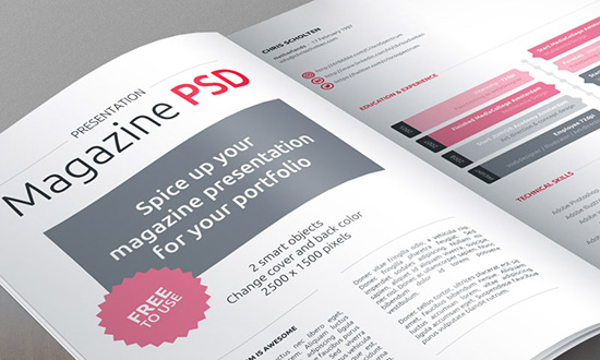 Rivista di presentazione PSD