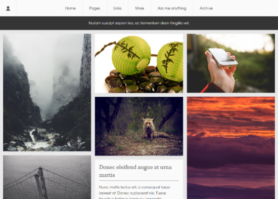 Elise-Seperti-majalah-Tumblr-Tema
